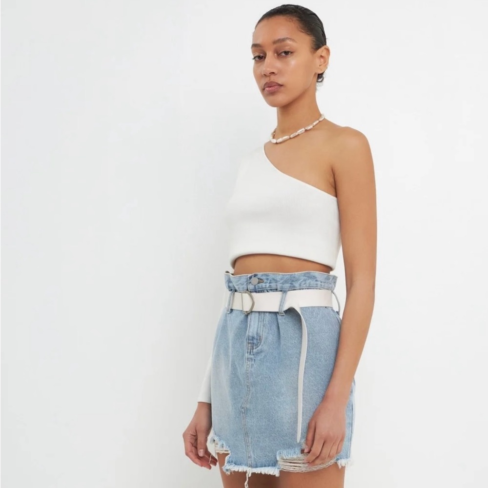 Grey Lab Skirt - Picture 6 of 10